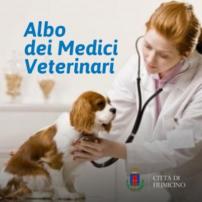 Fiumicino: Formazione di un Albo di Medici Veterinari per contrastare il randagismo.  Microchip, sterilizzazione ed iscrizione all’Anagrafe gratuiti per gli aventi diritto.