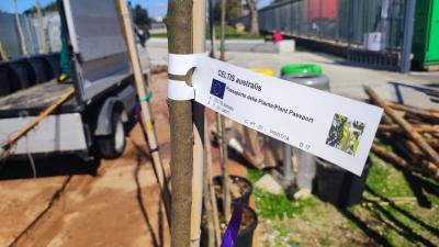 Riqualificazione del Parco Tommaso Forti, 98 alberi e gazebo per zone d'ombra.