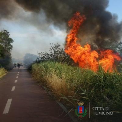 Misure di prevenzione rischio incendi boschivi per il periodo di massima pericolosità 