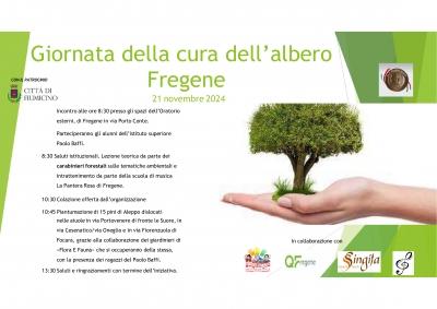 21 novembre “Giornata della cura dell’albero”