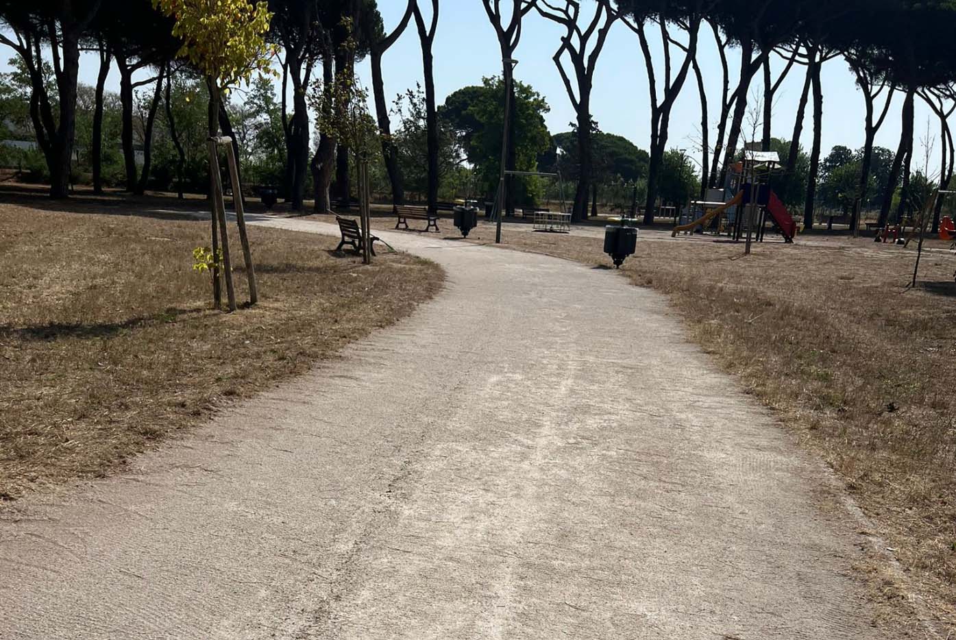 Intervento straordinario per ripristinare il decoro del parco